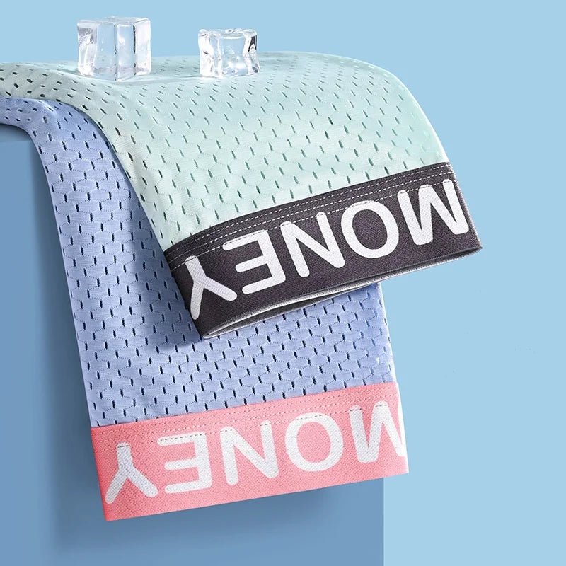 2/3/4/6 PCS Men's Panties Plus Size Thin Shorts Sports Boxer Breathable Panties Ice Silk Underpants Gift Luxury Underwears - WOWihte