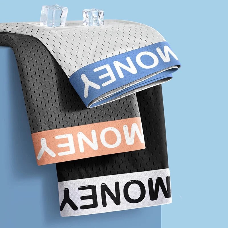 2/3/4/6 PCS Men's Panties Plus Size Thin Shorts Sports Boxer Breathable Panties Ice Silk Underpants Gift Luxury Underwears - WOWihte