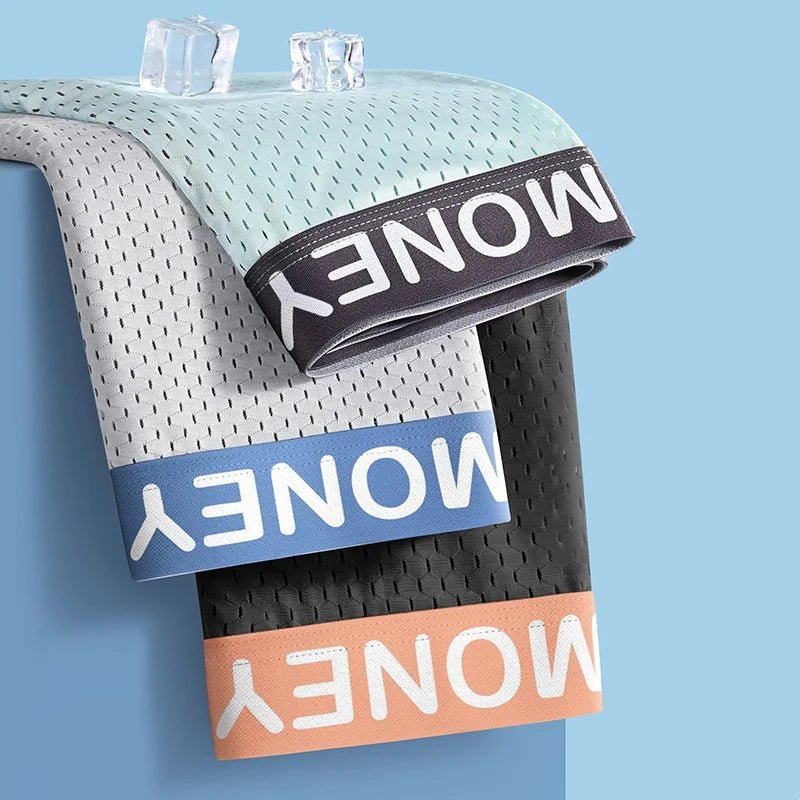 2/3/4/6 PCS Men's Panties Plus Size Thin Shorts Sports Boxer Breathable Panties Ice Silk Underpants Gift Luxury Underwears - WOWihte