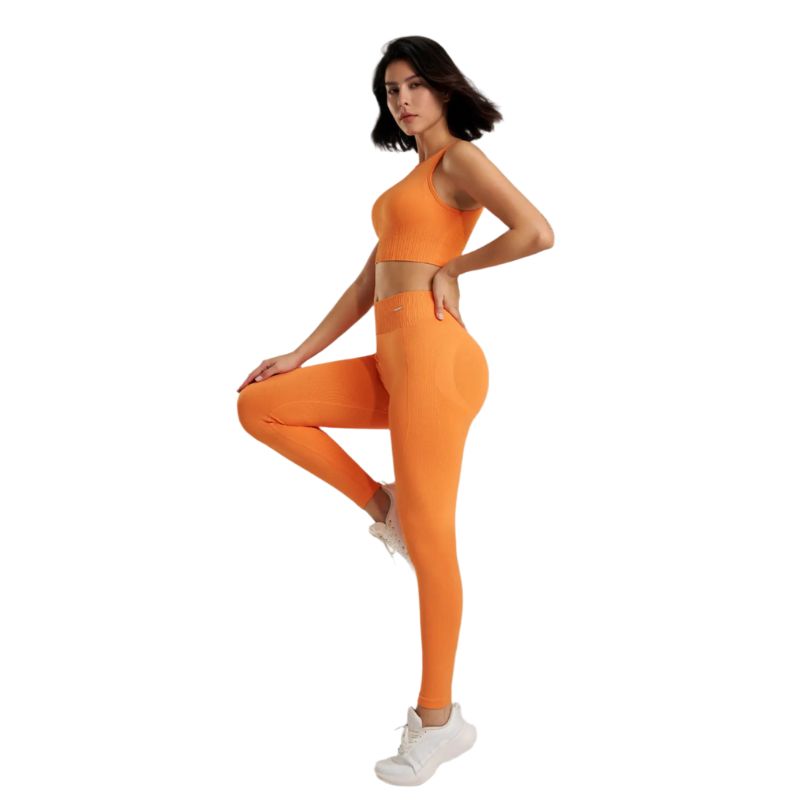 Seamless High Waist Yoga Set