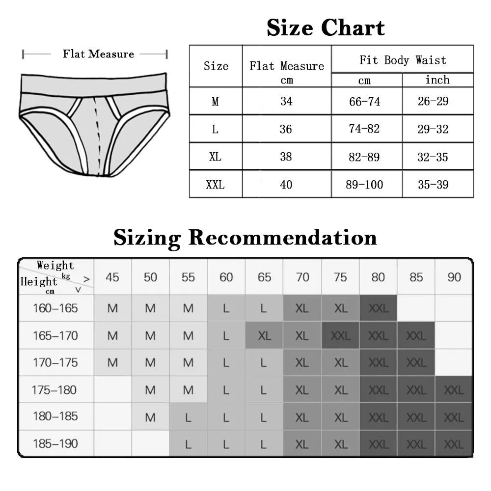 Mesh Micro Bikini Swim Briefs