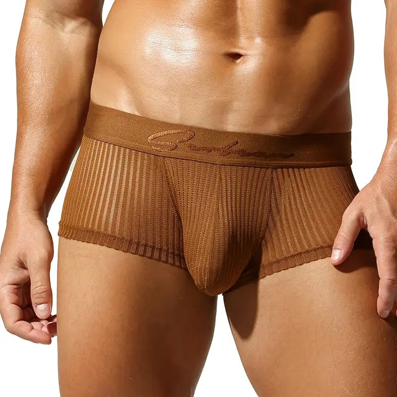 Translucent Polyester Boxer Briefs