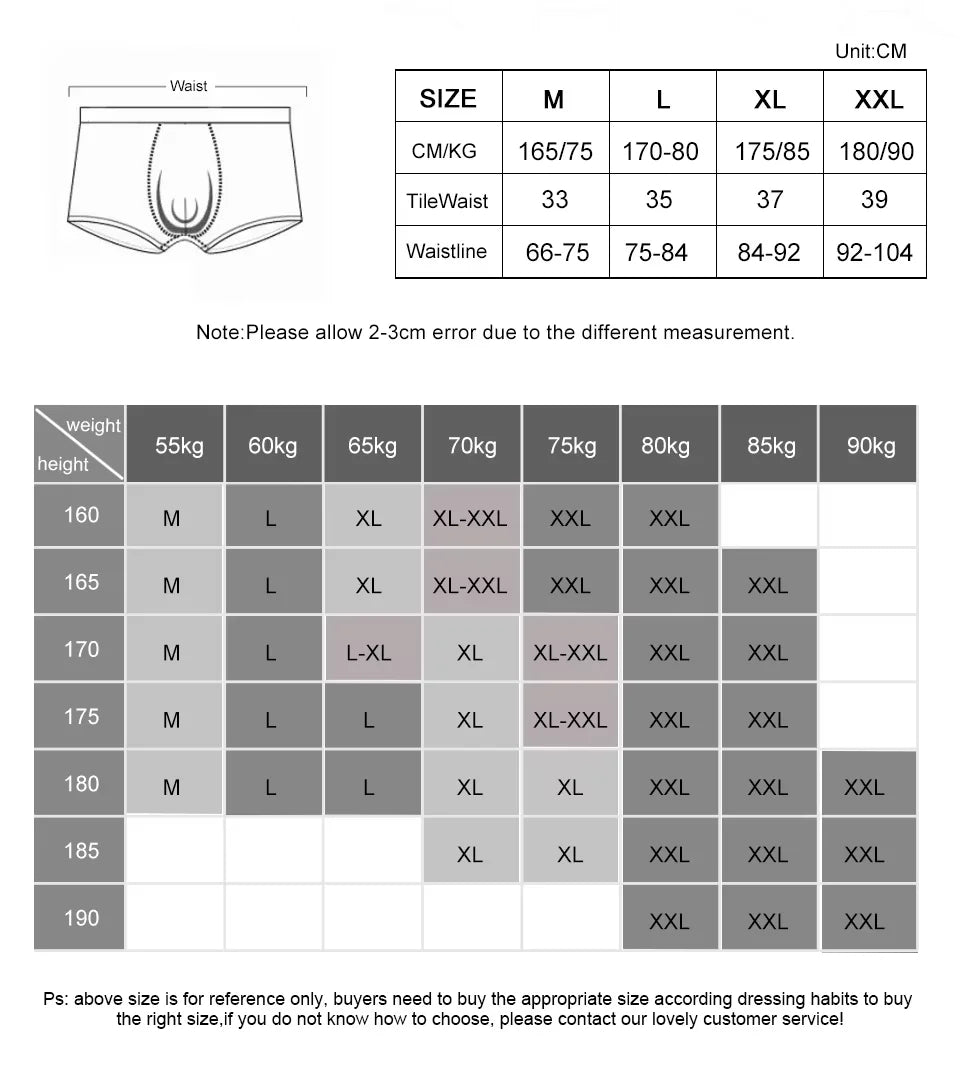 Sexy Men's Ice Silk Brief Underwear