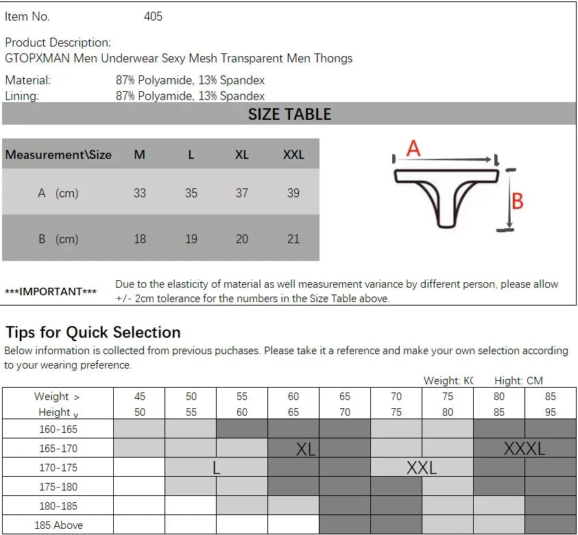 Sexy Men's Sheer Mesh Thong