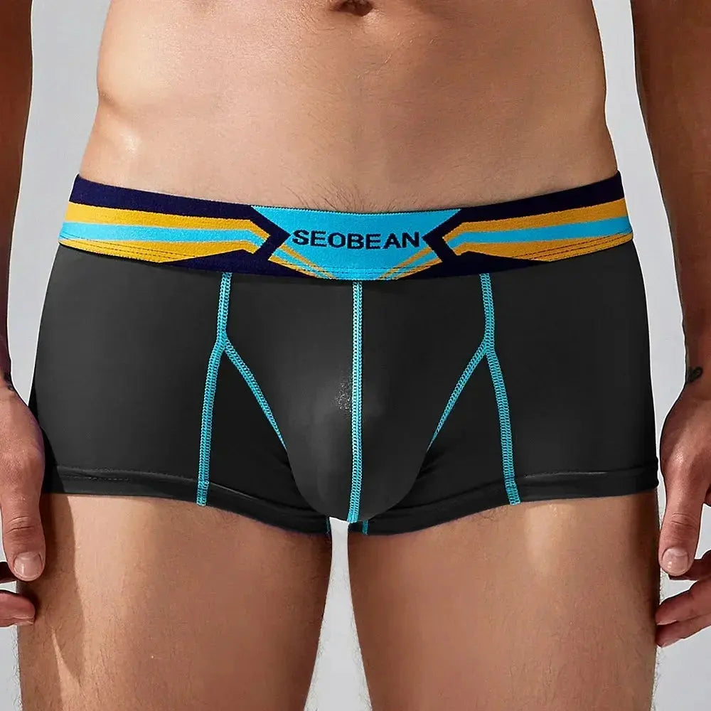 Sheer Nylon Low-Rise Boxer Briefs