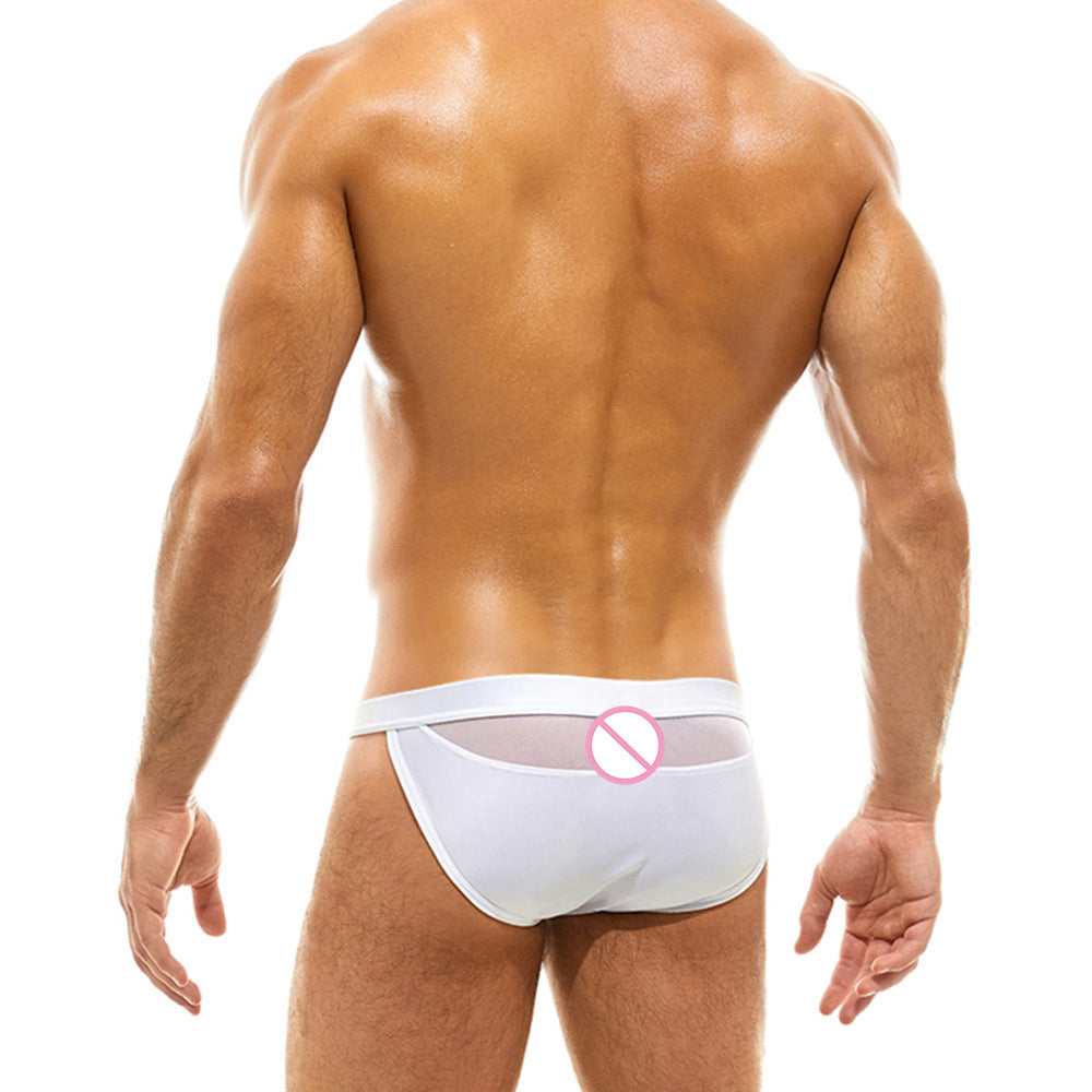 Mesh Micro Bikini Swim Briefs