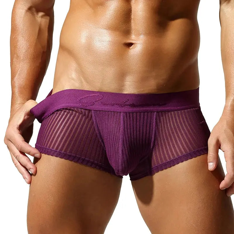 Translucent Polyester Boxer Briefs