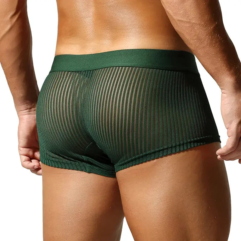 Translucent Polyester Boxer Briefs