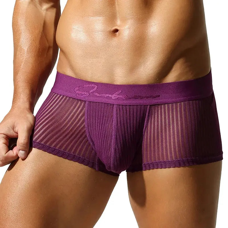 Translucent Polyester Boxer Briefs