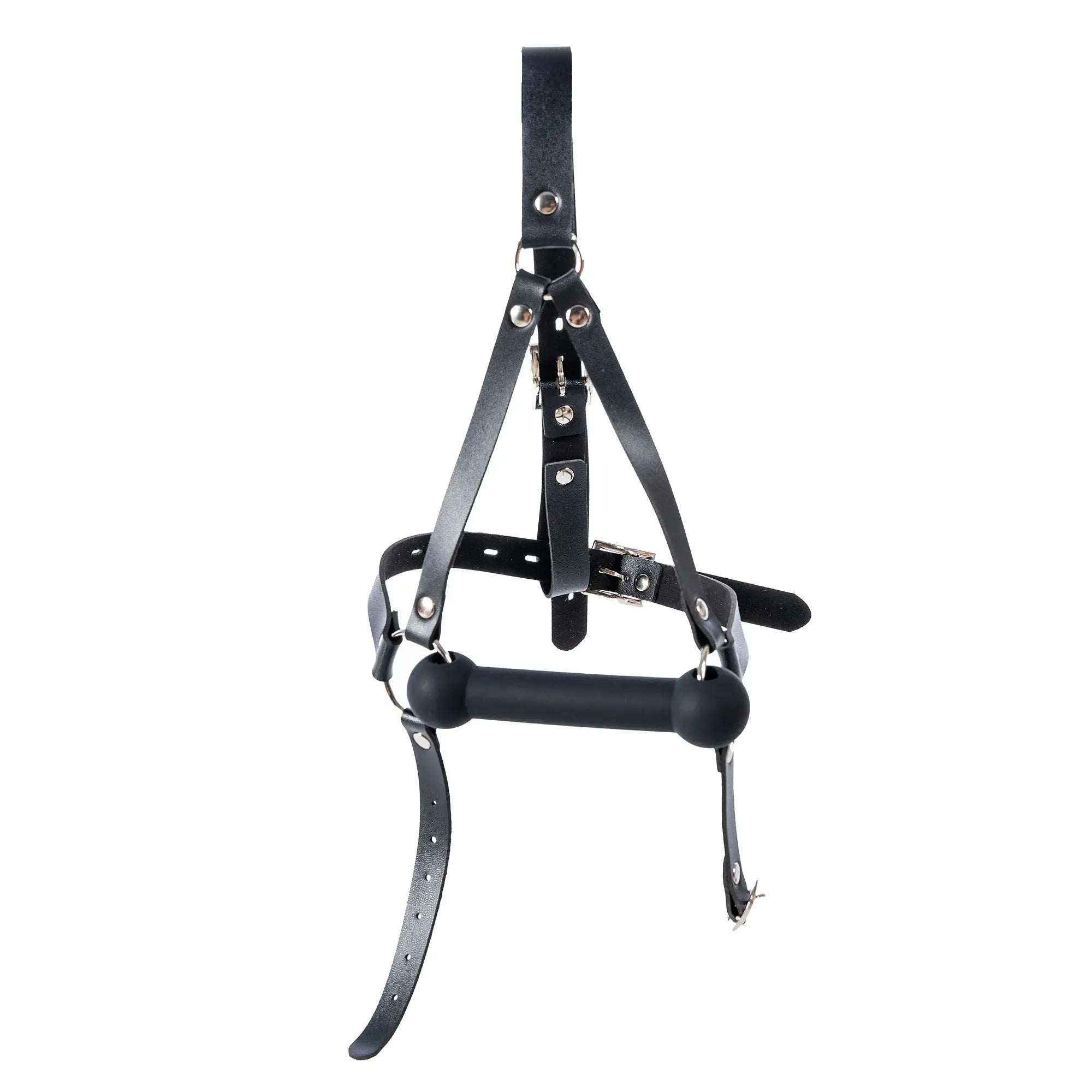 Leather Harness Face Mask