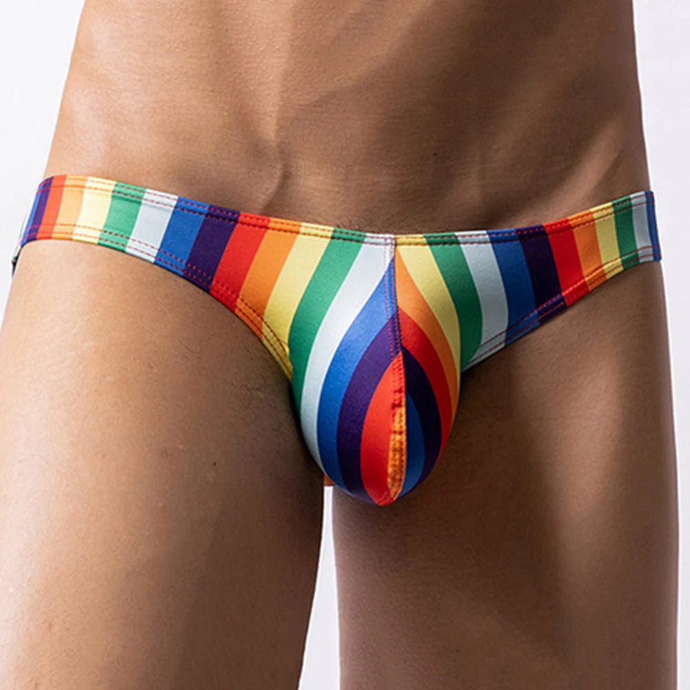 Men's Sexy Low Waist Briefs Underwear