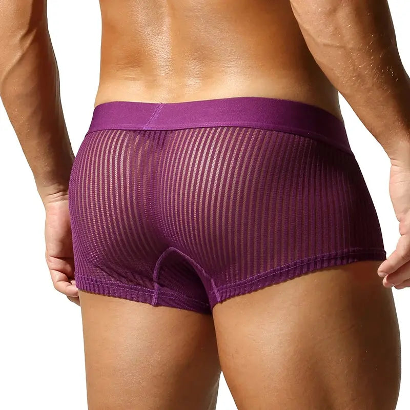 Translucent Polyester Boxer Briefs
