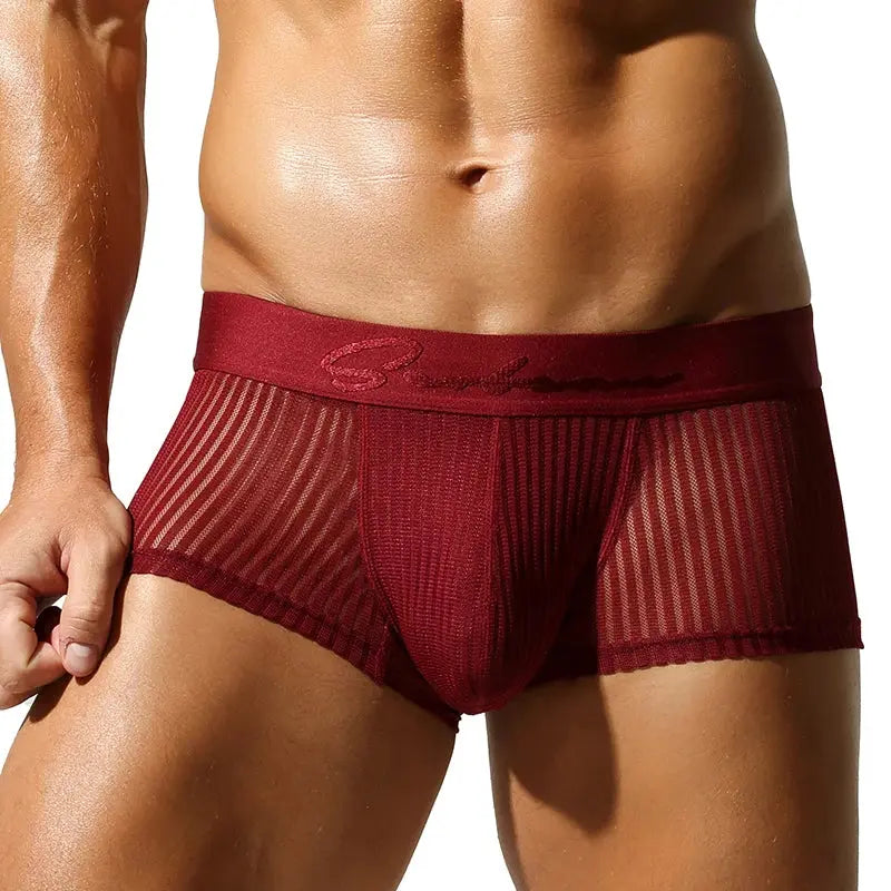 Translucent Polyester Boxer Briefs