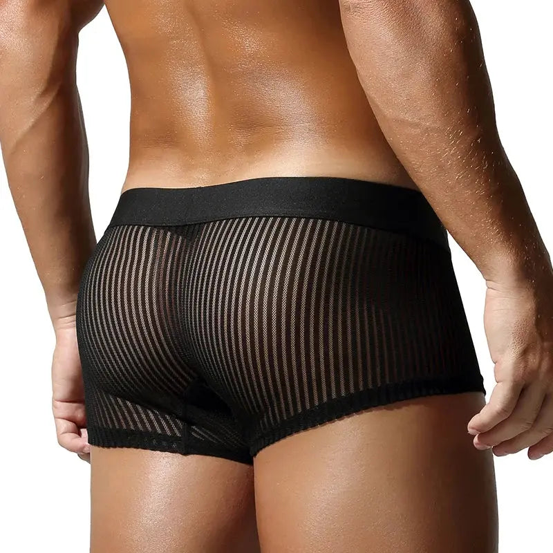 Translucent Polyester Boxer Briefs