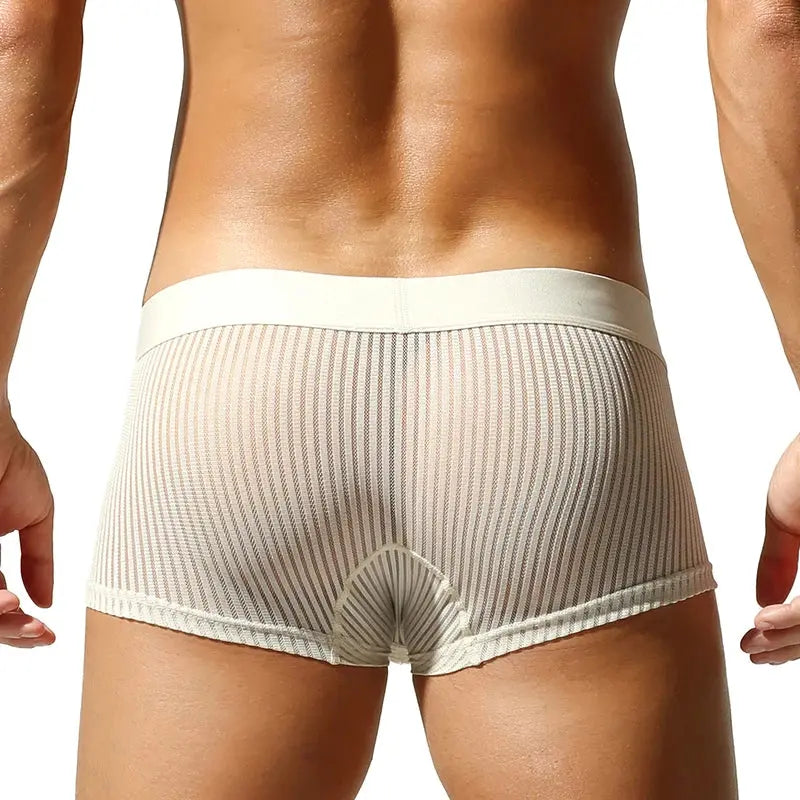 Translucent Polyester Boxer Briefs