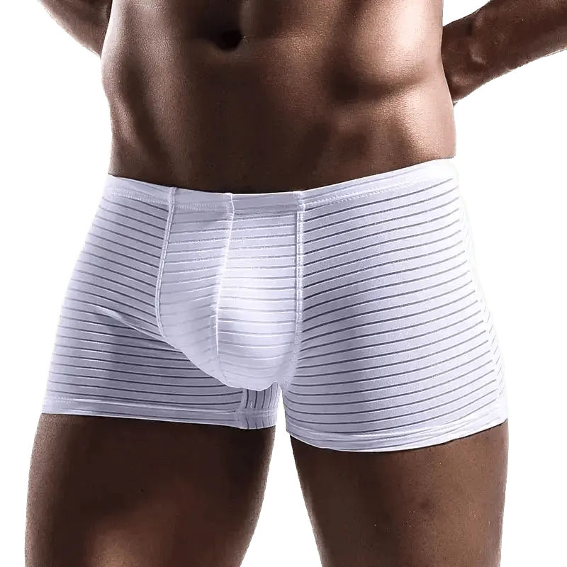 Breathable Mesh Boxer Briefs - WOWihte