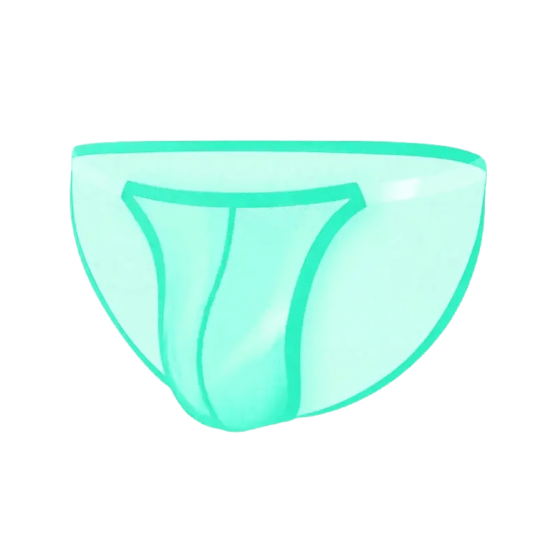 Breathable Mesh Transparent Bikini Briefs - WOWihte