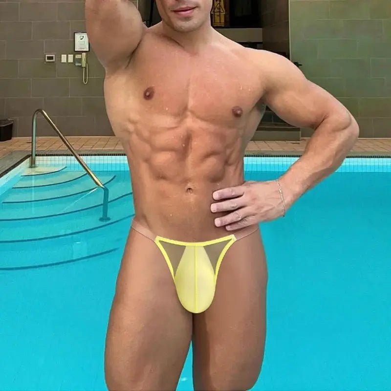 Breathable Mesh Transparent Bikini Briefs - WOWihte