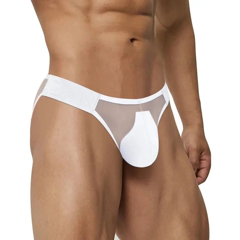 Breathable Mesh Transparent Bikini Briefs - WOWihte