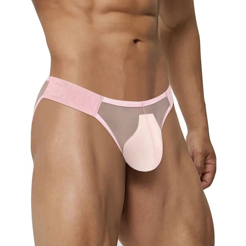 Breathable Mesh Transparent Bikini Briefs - WOWihte