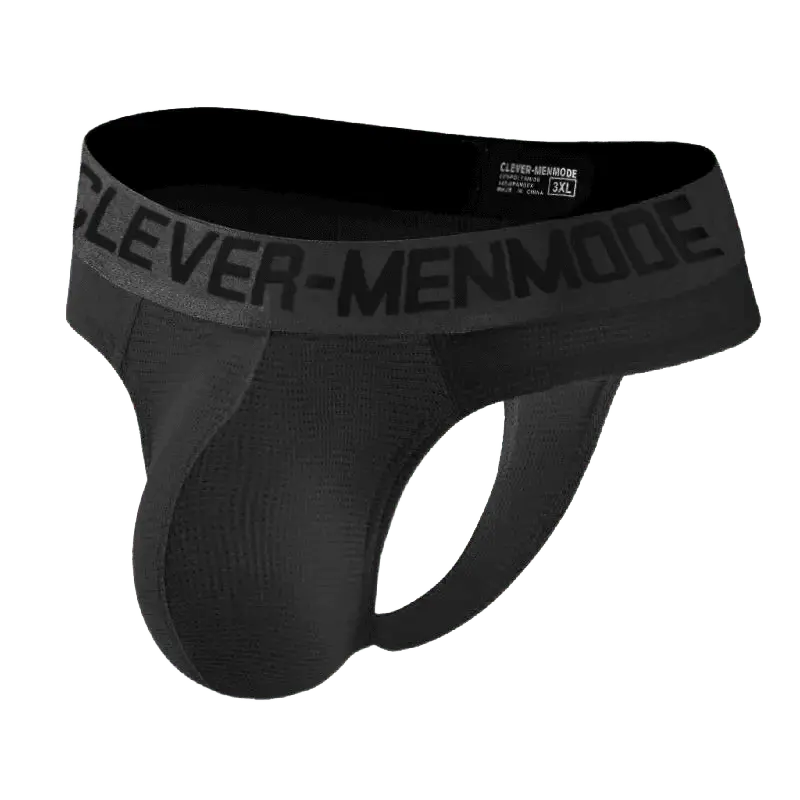 Sheer Mesh Thong Underwear
