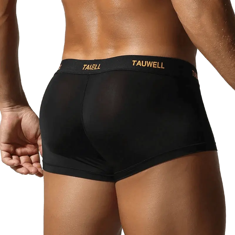 Semi-Transparent U-Pouch Briefs