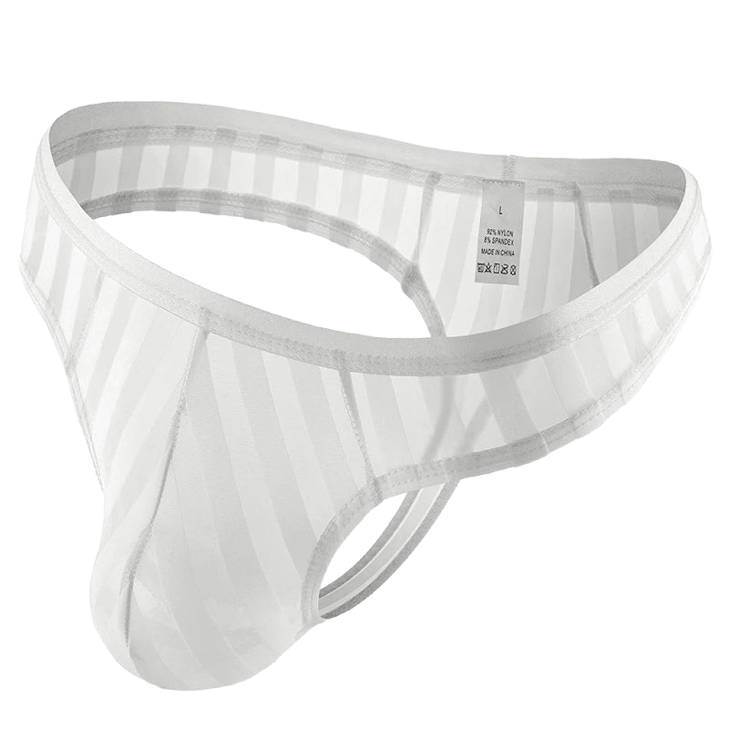 Sexy Men's Sheer Mesh Thong