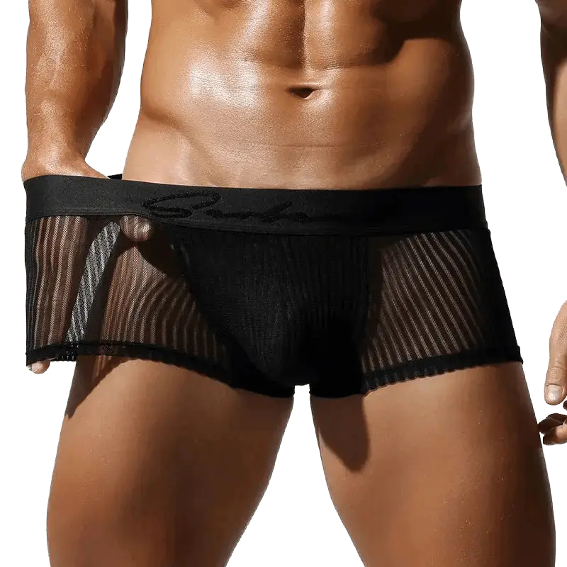 Translucent Polyester Boxer Briefs