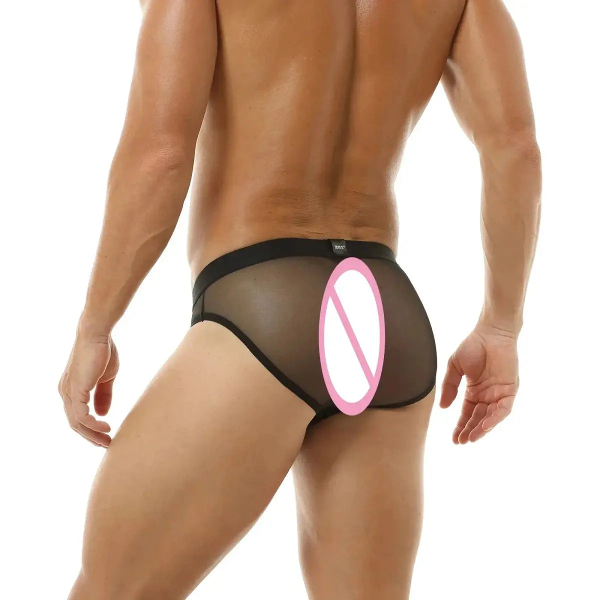 Glossy Satin Mesh Sheer Briefs - WOWihte