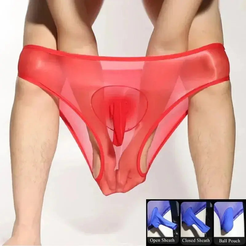 Glossy Sheer Silky Men's Briefs - WOWihte