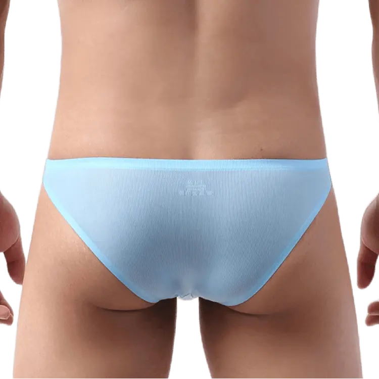 Ice Silk Seamless U - Pouch Briefs - WOWihte