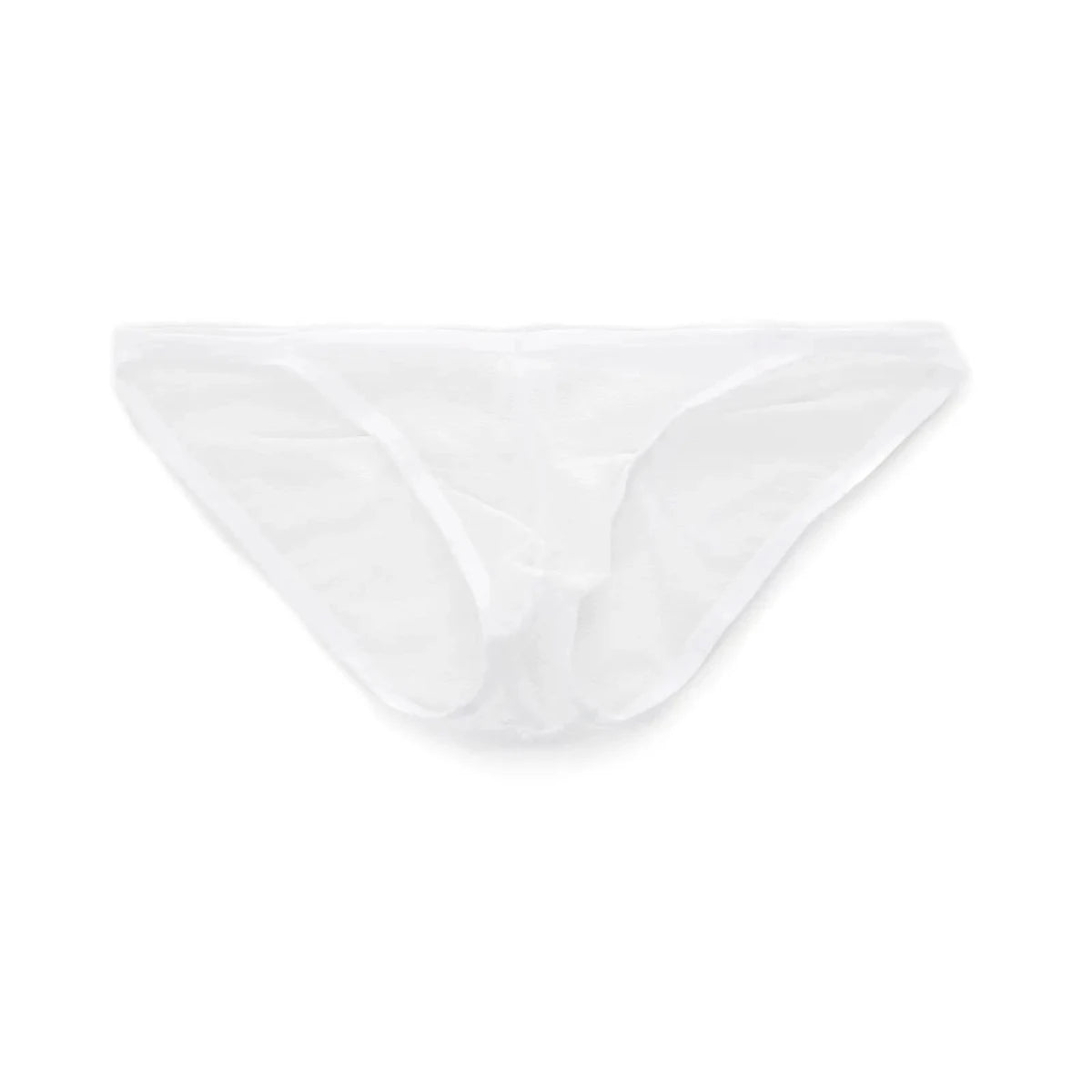 Lace Mesh See-Through Briefs - WOWihte