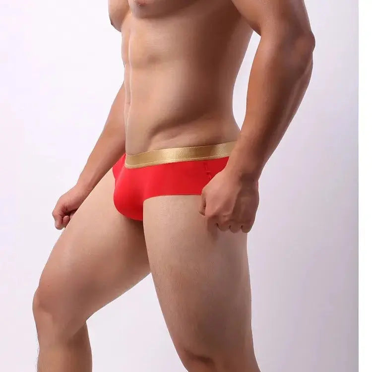Men's Ice Silk Pouch Briefs - WOWihte