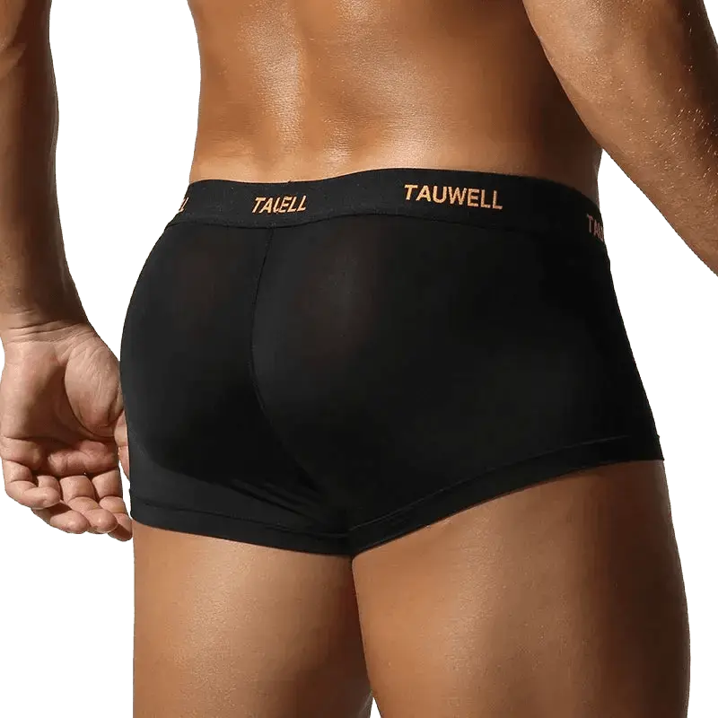 Semi-Transparent U-Pouch Briefs - WOWihte