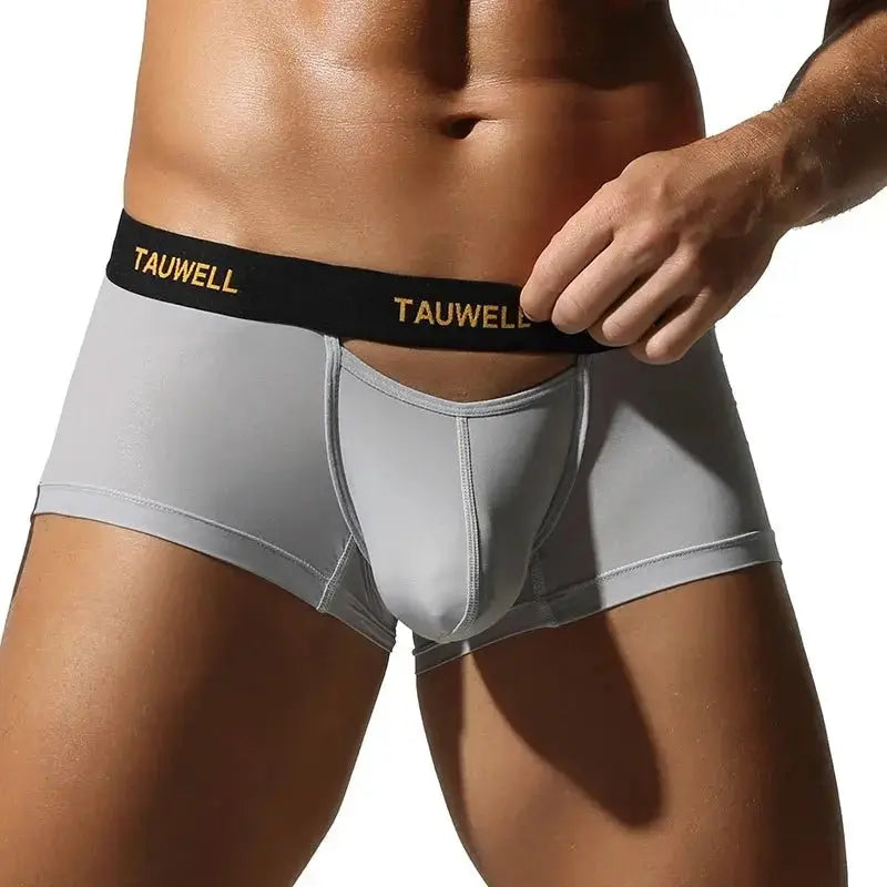 Semi-Transparent U-Pouch Briefs - WOWihte