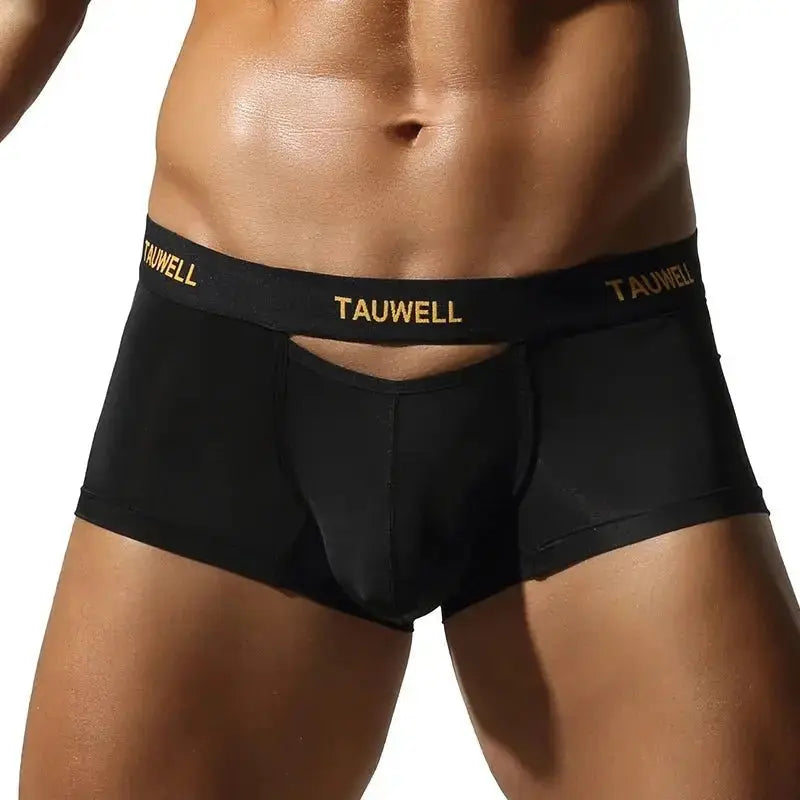 Semi-Transparent U-Pouch Briefs - WOWihte