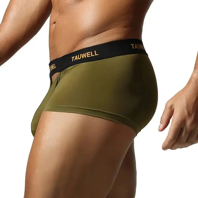 Semi-Transparent U-Pouch Briefs - WOWihte