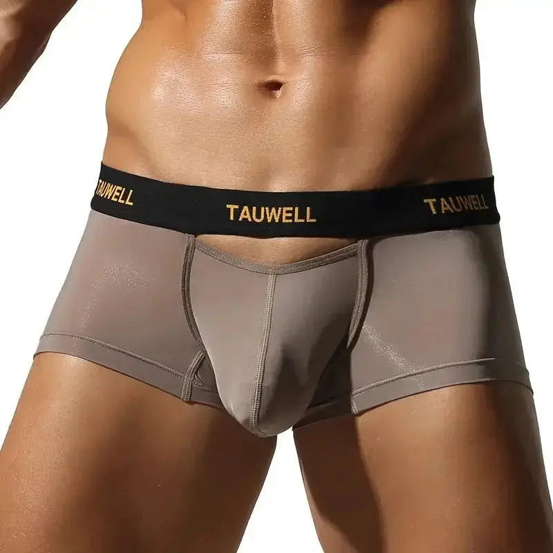 Semi-Transparent U-Pouch Briefs - WOWihte
