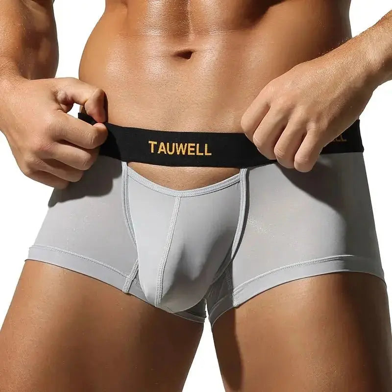 Semi-Transparent U-Pouch Briefs - WOWihte