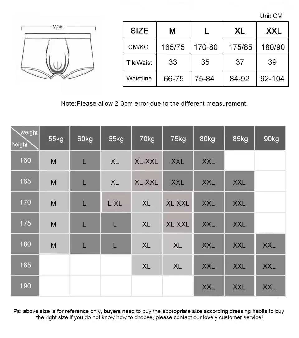 Sexy Men's Ice Silk Brief Underwear - WOWihte