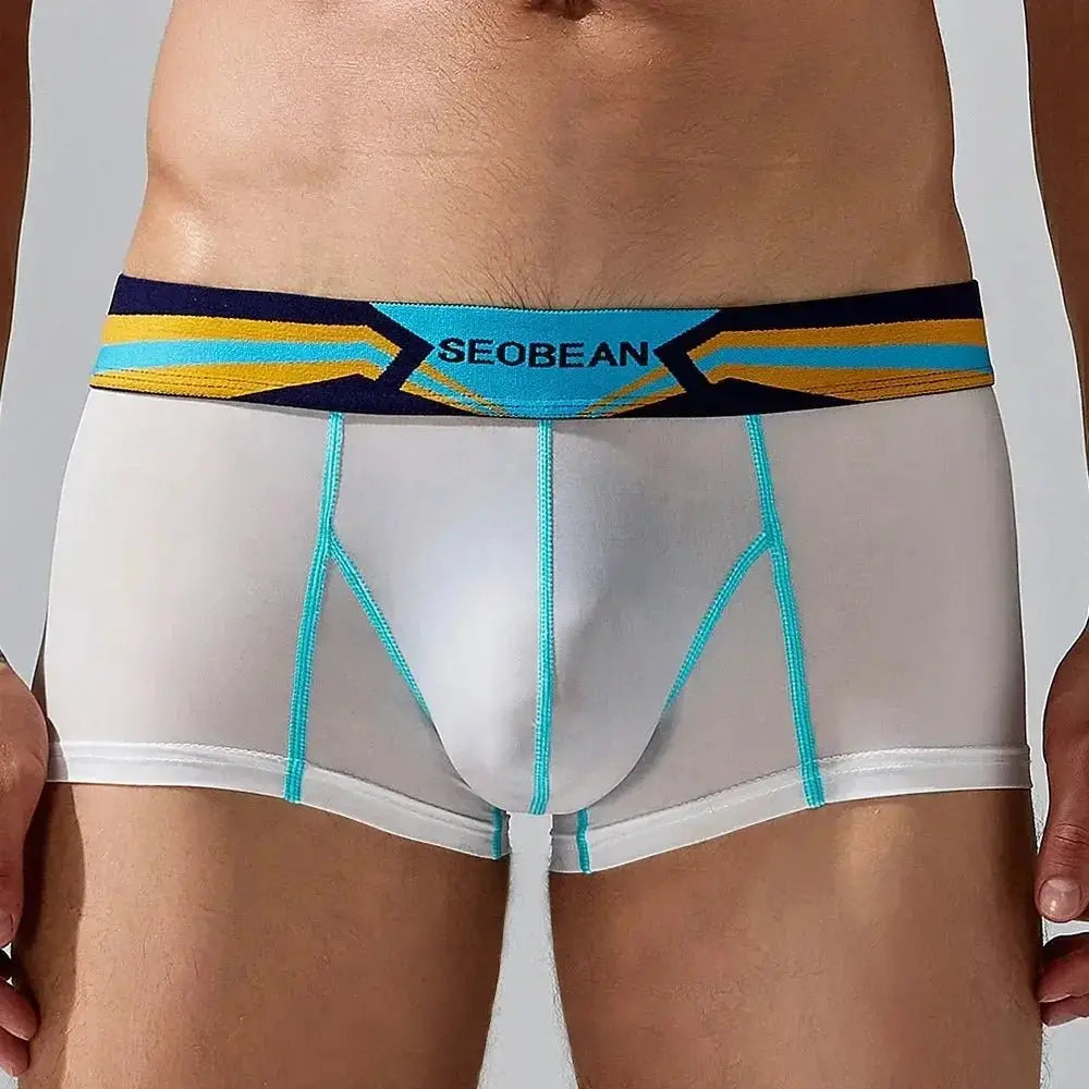 Sheer Nylon Low-Rise Boxer Briefs - WOWihte