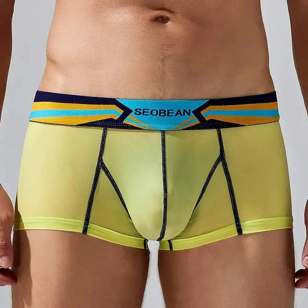Sheer Nylon Low-Rise Boxer Briefs - WOWihte