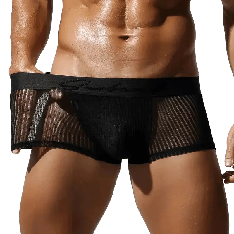 Translucent Polyester Boxer Briefs - WOWihte