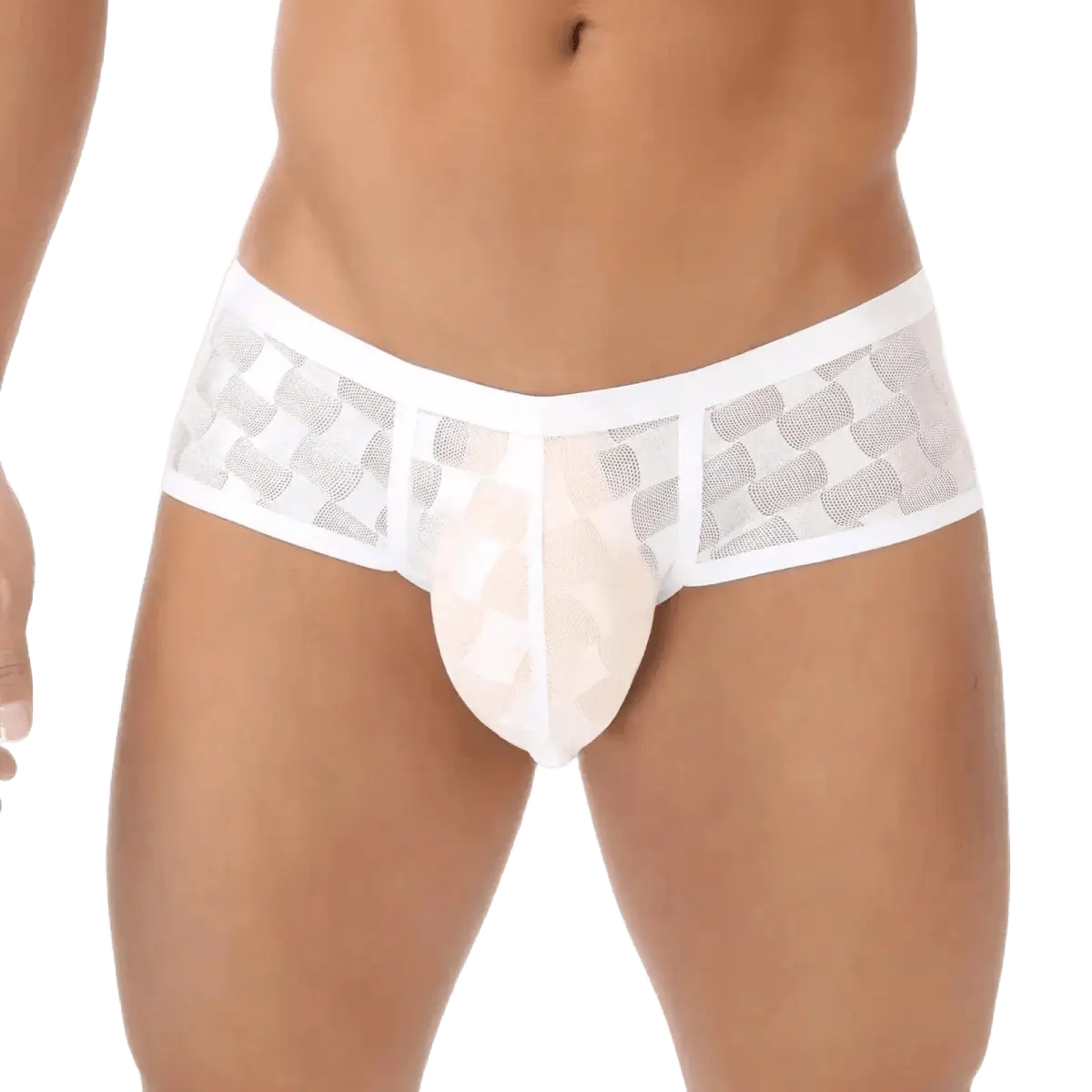 Transparent Mesh Checkered Boxer Shorts - WOWihte