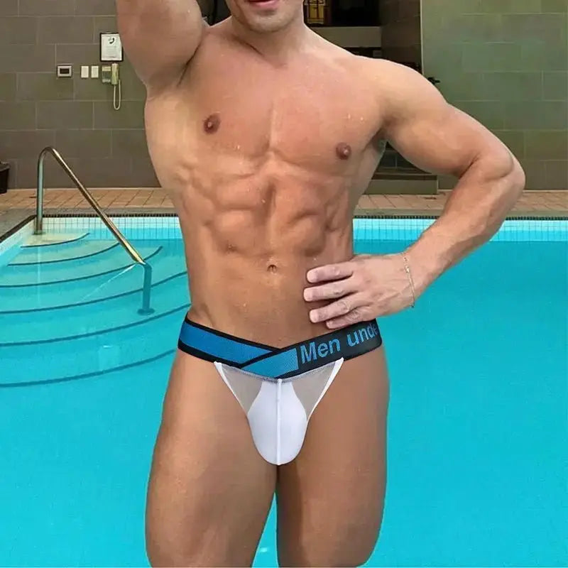 Ultra - Thin Transparent Mesh Briefs - WOWihte