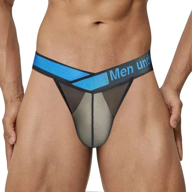 Ultra - Thin Transparent Mesh Briefs - WOWihte
