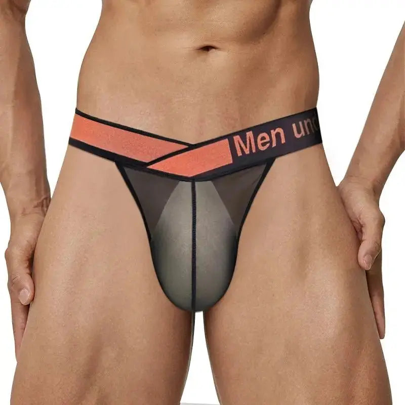 Ultra - Thin Transparent Mesh Briefs - WOWihte