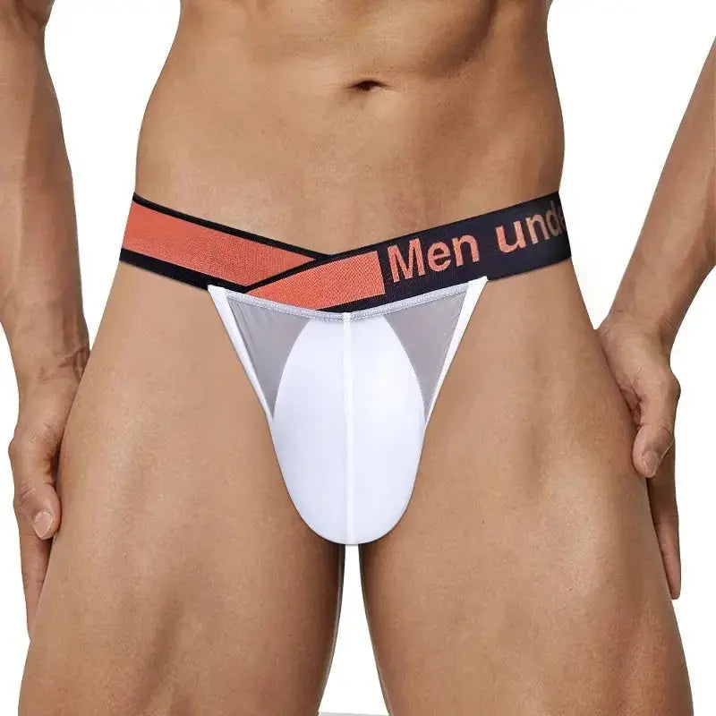 Ultra - Thin Transparent Mesh Briefs - WOWihte