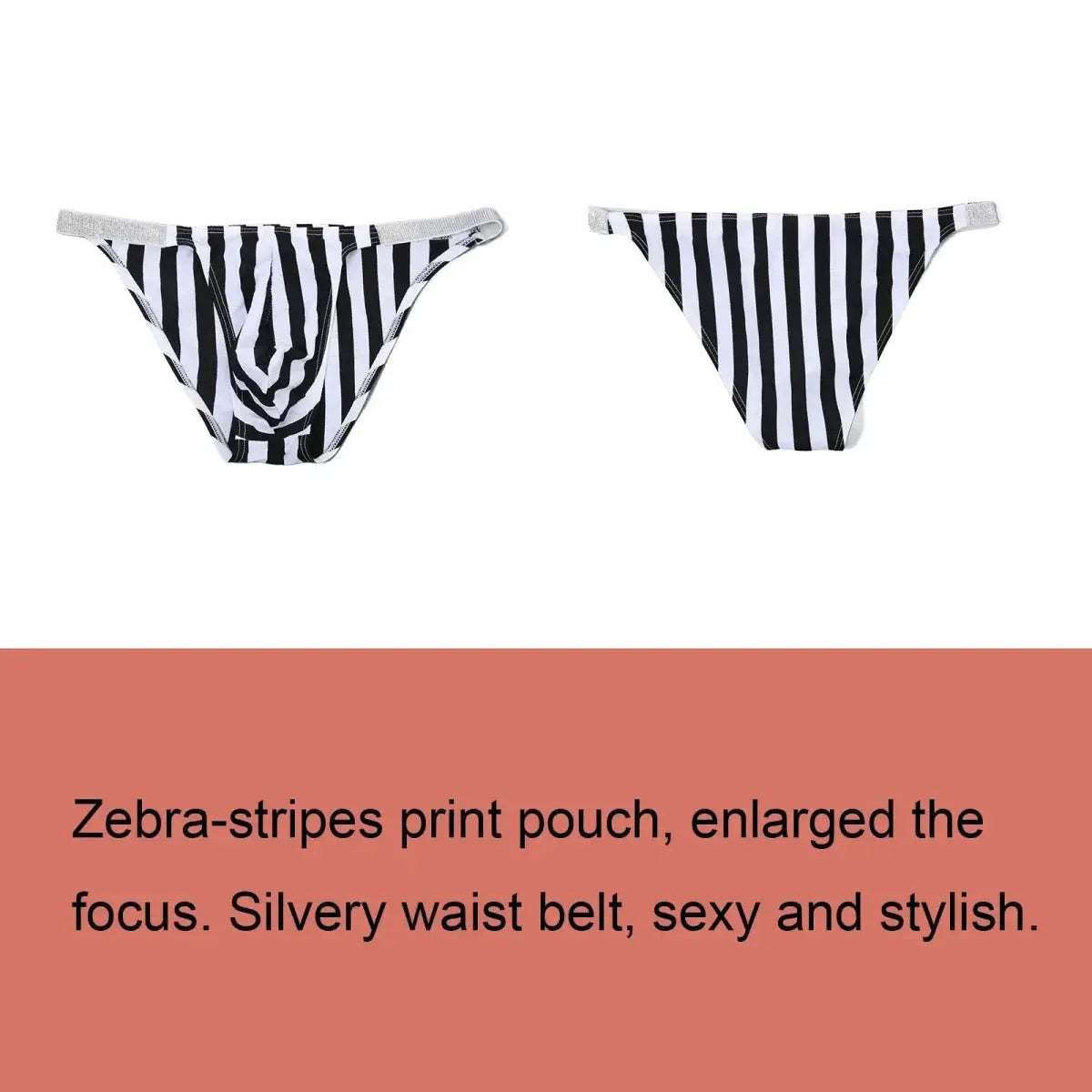 Zebra Stripe Beach Bikini Briefs - WOWihte